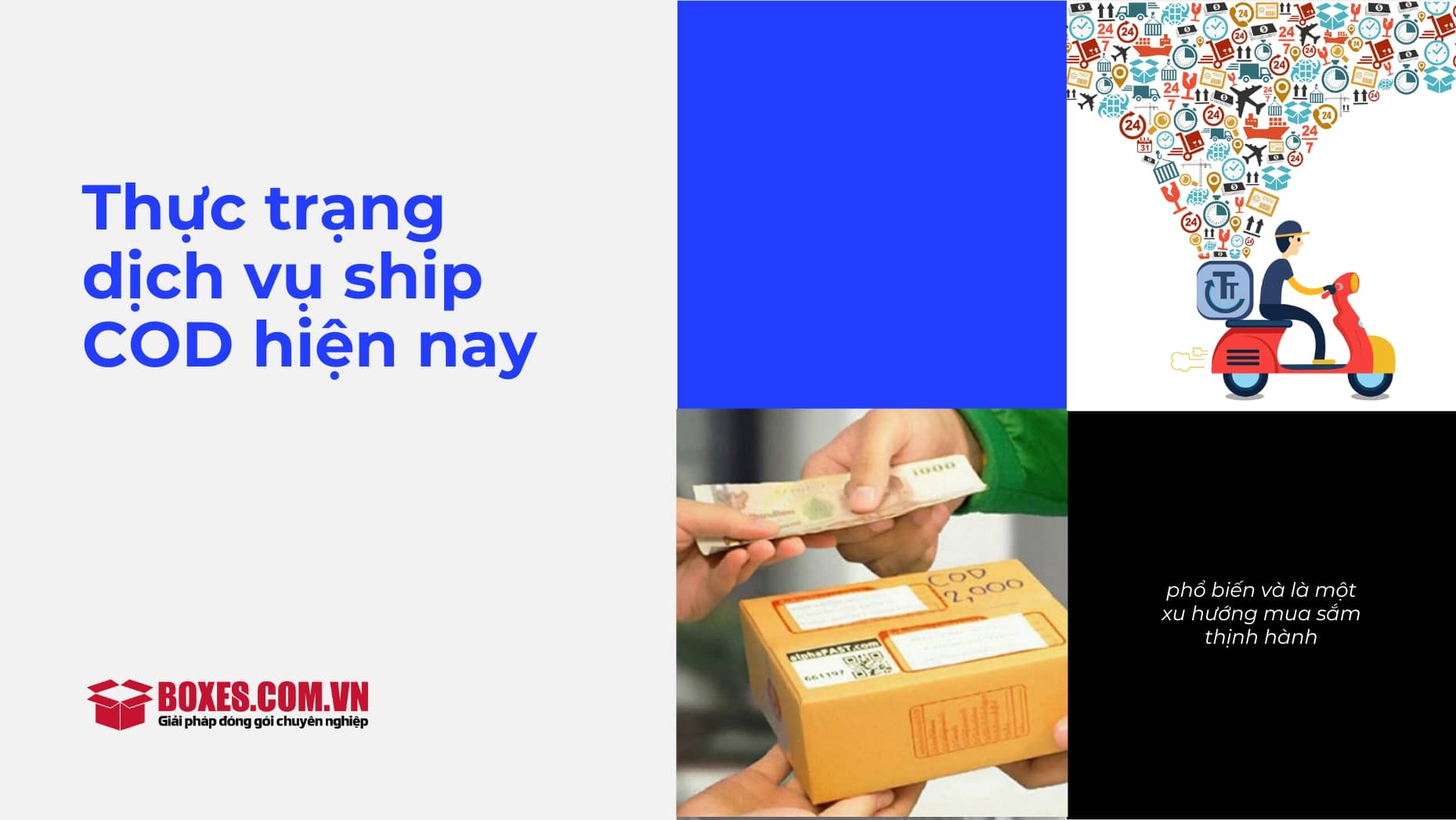 Cod Nam Ship COD ở đâu rẻ và an toàn – Top 5 ship COD tốt nhất